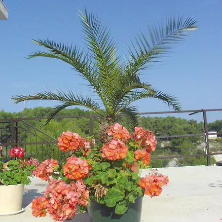 With Parking Space Sutivan, Brac - 747 Apartmán Sutivan